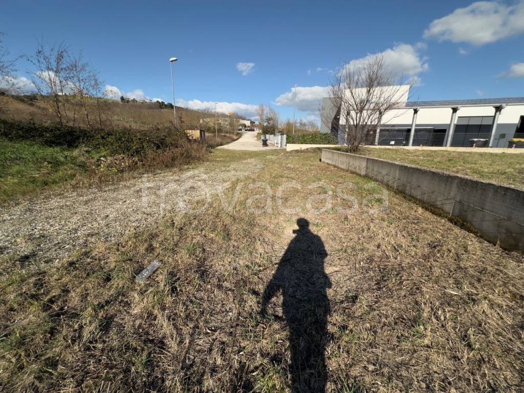 immagine annuncio 11 di 14