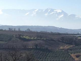 Terreno agricolo in vendita a vasto strada provinciale san lorenzo