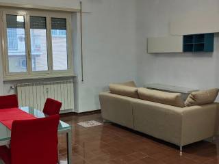 Appartamento in in affitto da privato a roma via vincenzo statella, 7