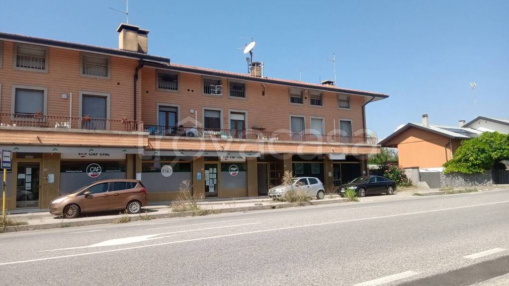immagine annuncio 1 di 8