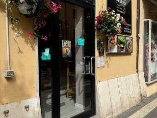 Ristorante in in vendita da privato a genzano di roma corso antonio gramsci