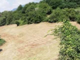 Terreno agricolo all'asta a fara vicentino via poletti