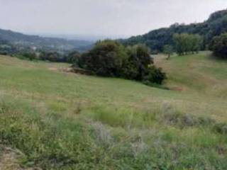 Terreno agricolo all'asta a salcedo via altura