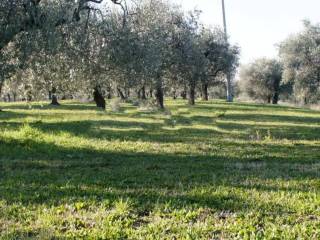 Casale in vendita a ortona contrada cappellini