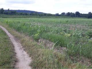 Terreno agricolo in vendita a farra d'isonzo comune farra d'isonzo