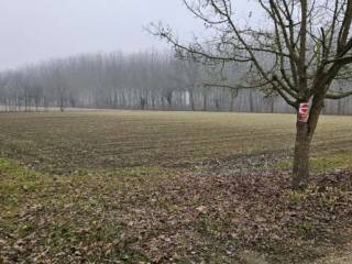 Terreno agricolo all'asta a venezia via scaramuzza