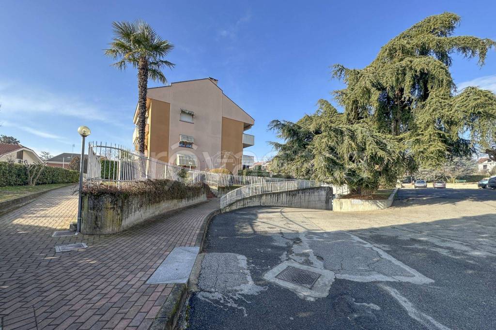 immagine annuncio 9 di 15