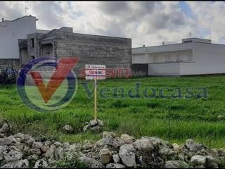 Terreno agricolo in vendita a carpignano salentino via degli eroi s.n.c.