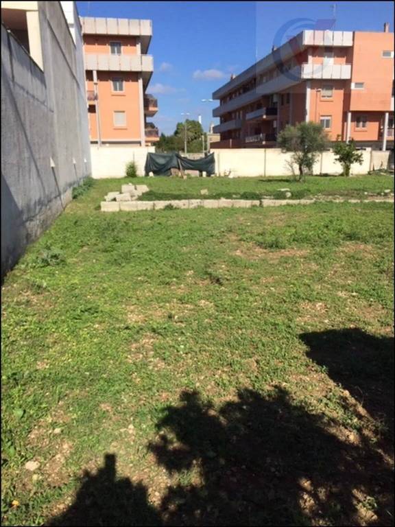 immagine annuncio 1 di 6