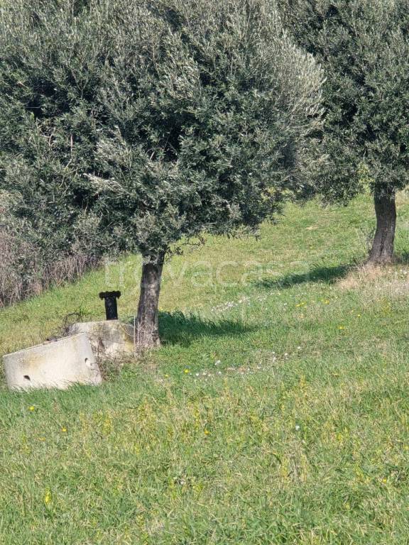immagine annuncio 10 di 13