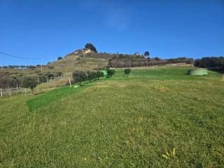 Terreno agricolo in vendita a san benedetto del tronto contrada montecretaccio