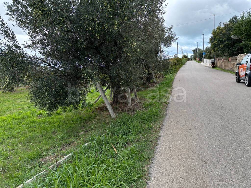 immagine annuncio 6 di 14