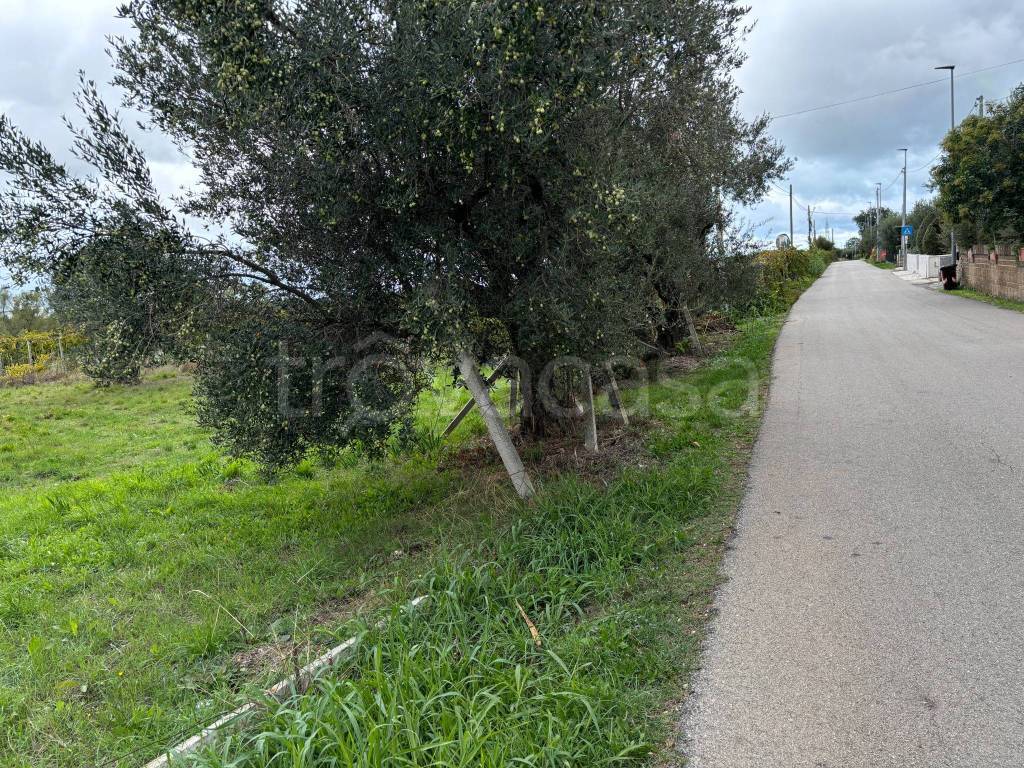 immagine annuncio 7 di 14