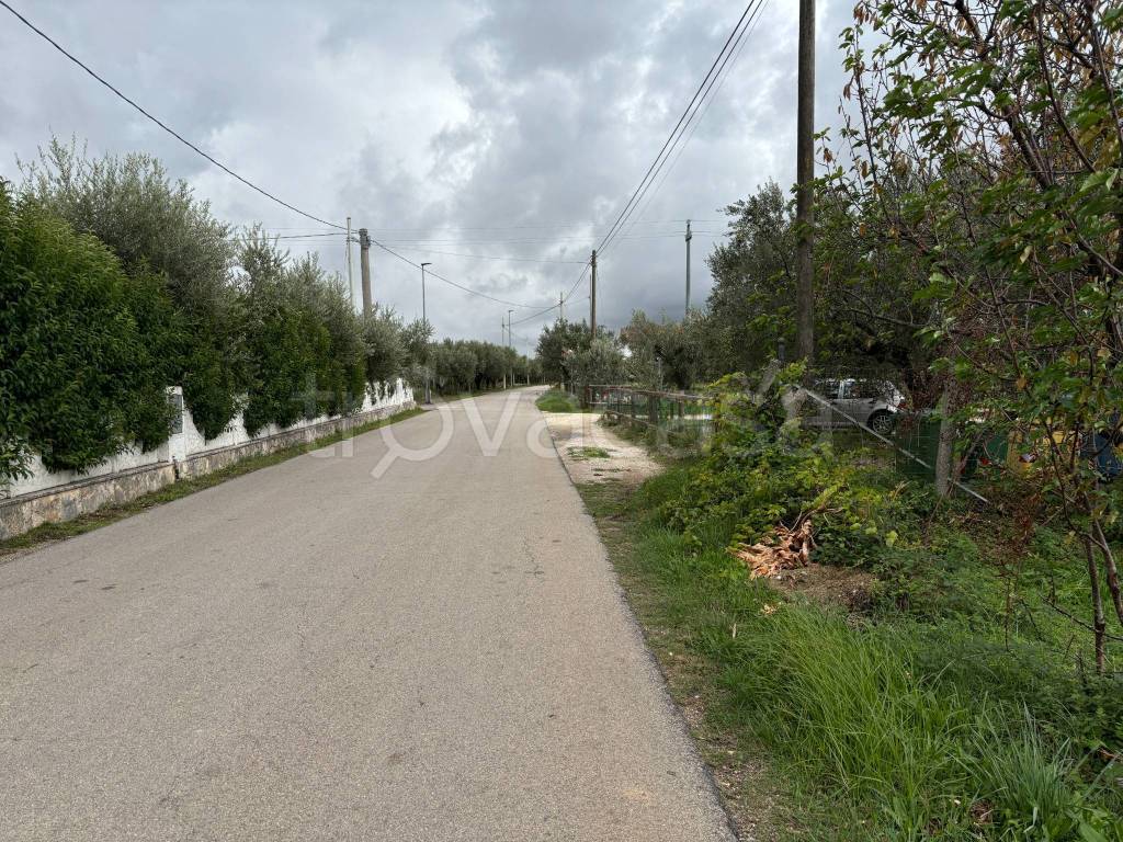 immagine annuncio 8 di 14