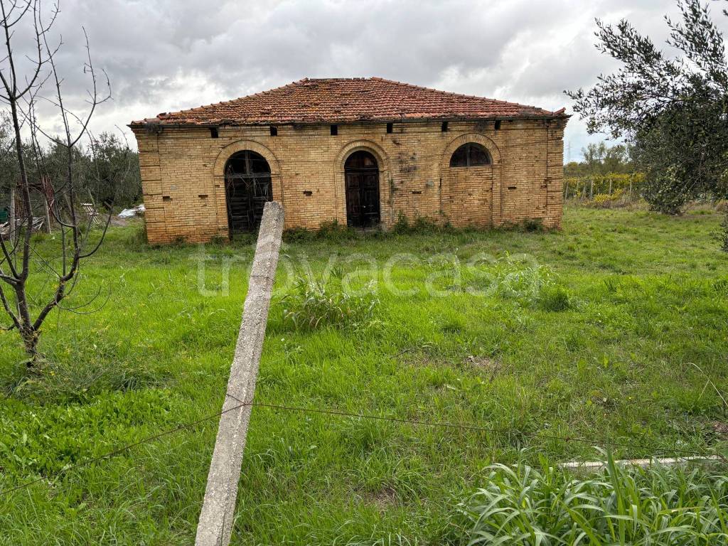 immagine annuncio 9 di 14