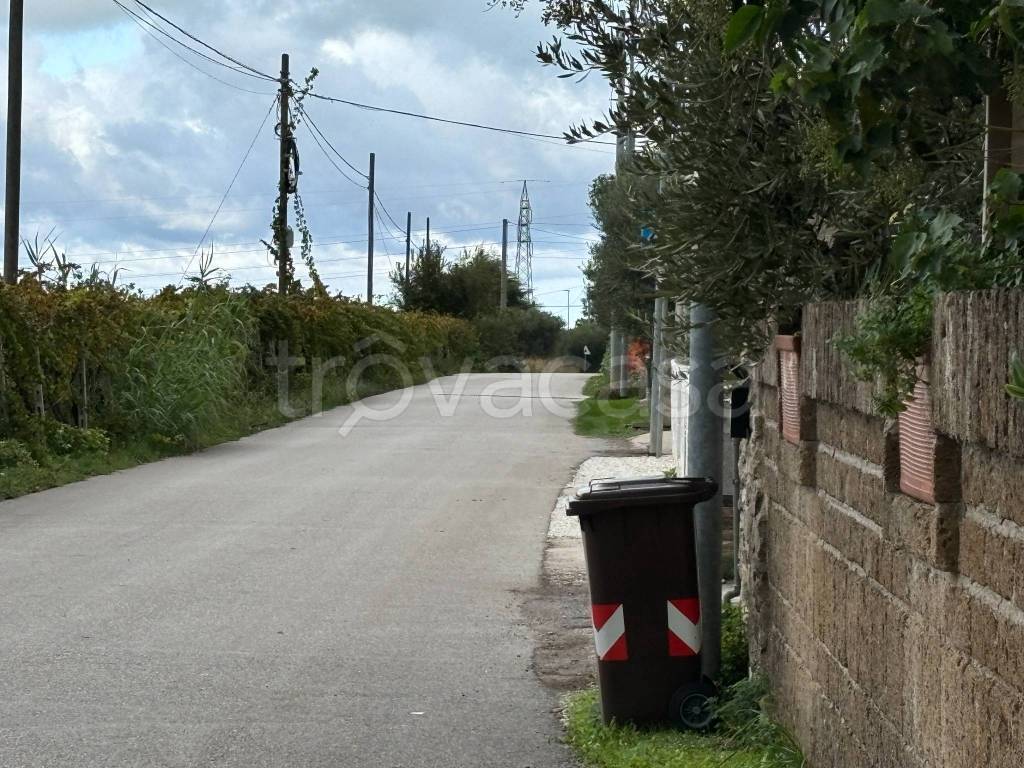 immagine annuncio 12 di 14
