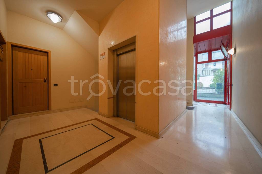 immagine annuncio 9 di 12