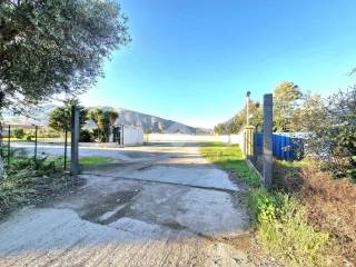 Terreno agricolo in affitto a palermo via olio di lino, 1