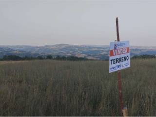 Terreno agricolo in vendita a pontelandolfo pontelandolfo