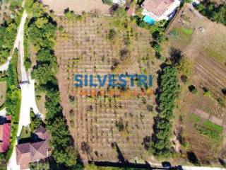 Terreno agricolo in vendita a benevento contrada madonna della salute