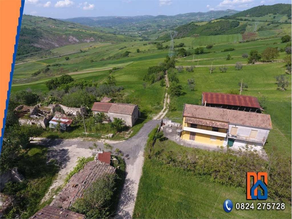 immagine annuncio 11 di 13