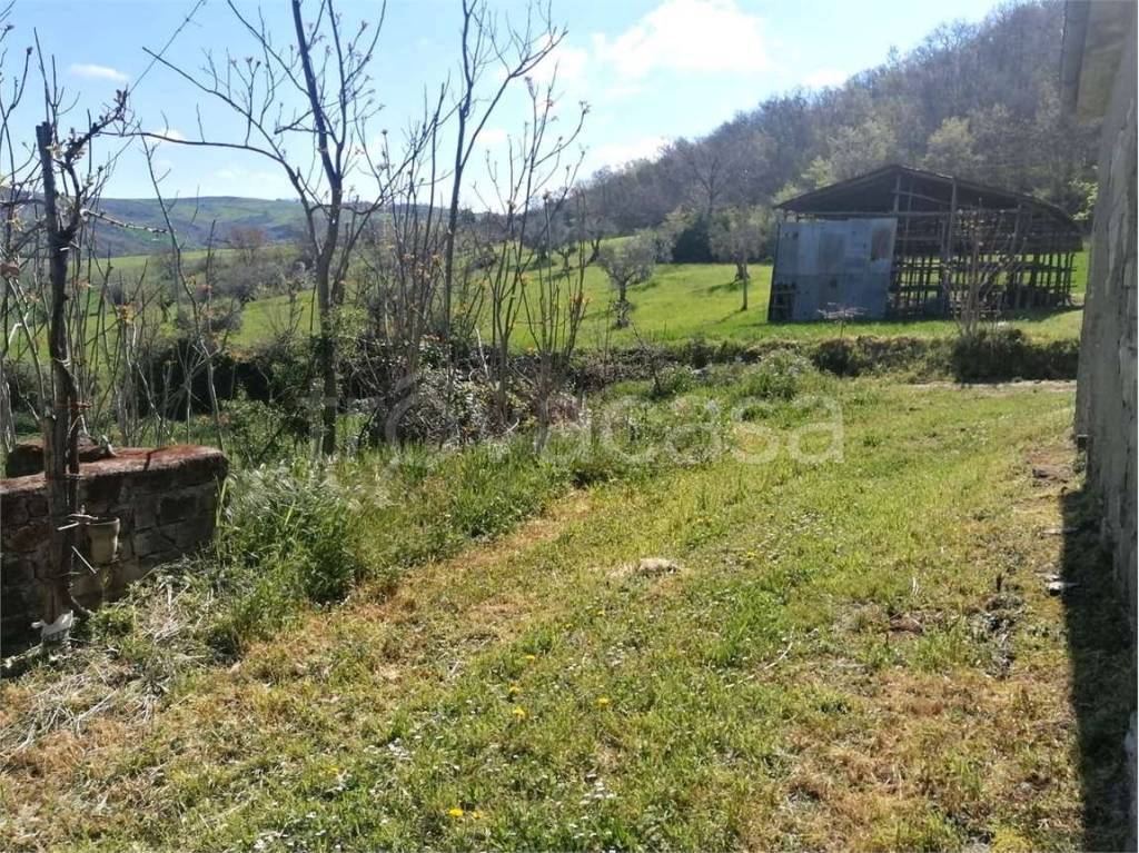 immagine annuncio 10 di 13