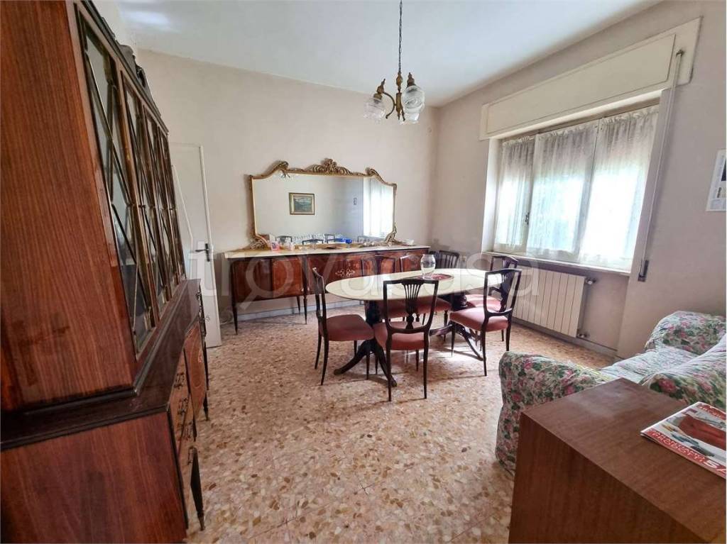 immagine annuncio 3 di 13