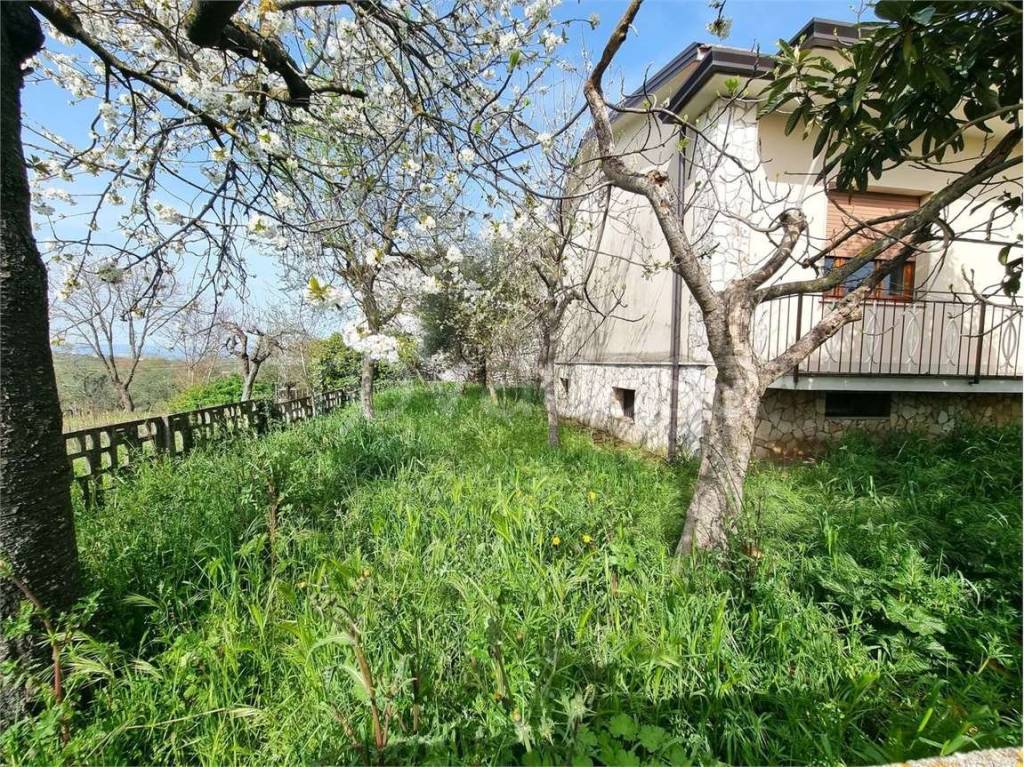 immagine annuncio 10 di 13