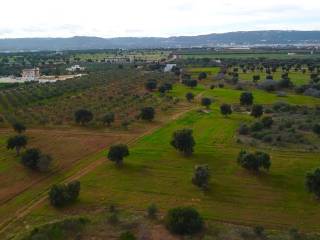 Terreno agricolo in vendita a fasano contrada cerasina