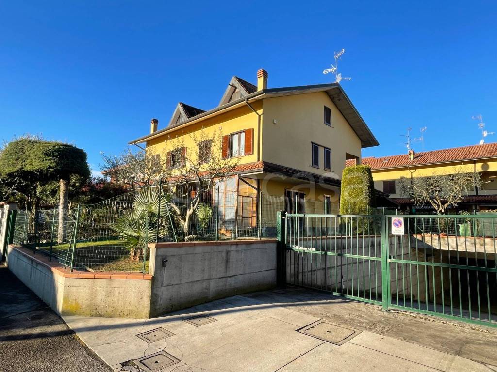 immagine annuncio 1 di 15