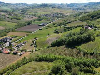 Azienda agricola in vendita a borgo priolo torre del monte