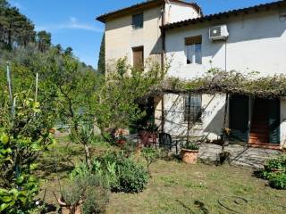 Casa indipendente in vendita a capannori via di malavolta,