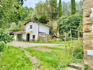 Azienda agricola in vendita a castelfranco piandiscò 