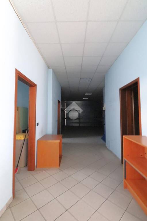 immagine annuncio 11 di 14