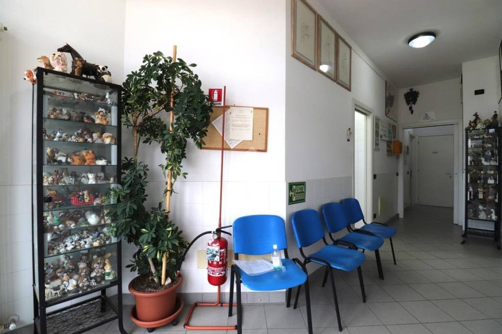 immagine annuncio 2 di 12