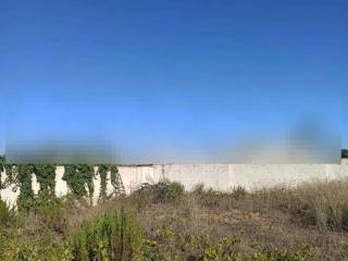 Terreno agricolo in vendita a mazara del vallo 