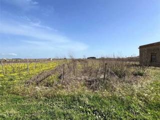 Terreno agricolo in vendita a mazara del vallo 