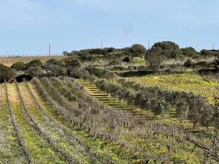 Terreno agricolo in vendita a mazara del vallo 