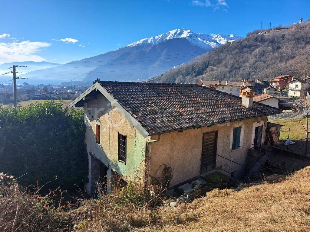 immagine annuncio 6 di 12