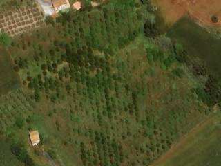 Terreno agricolo in vendita a sant'elpidio a mare 