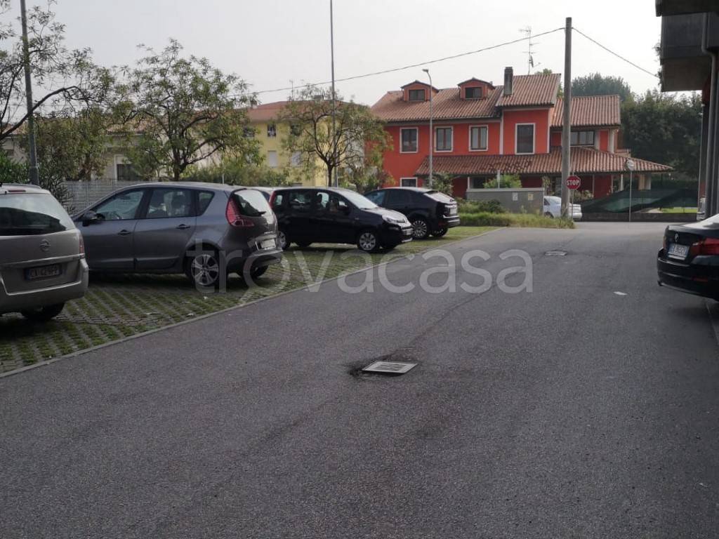 immagine annuncio 12 di 15