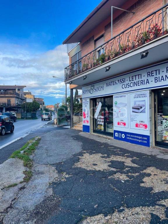 immagine annuncio 2 di 6