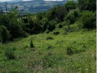 Terreno agricolo all'asta a petritoli contrada liberata, 17