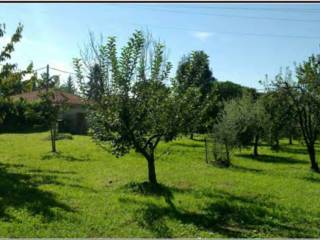 Terreno agricolo all'asta a carrara via castellaro