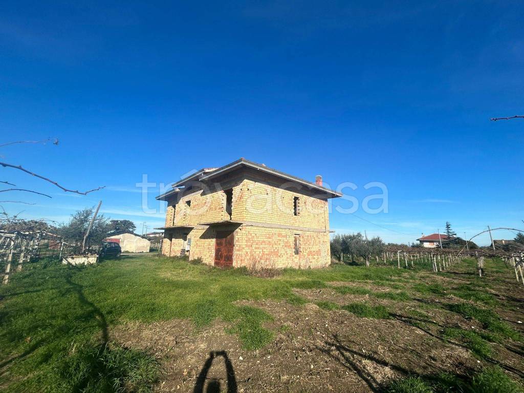immagine annuncio 9 di 11