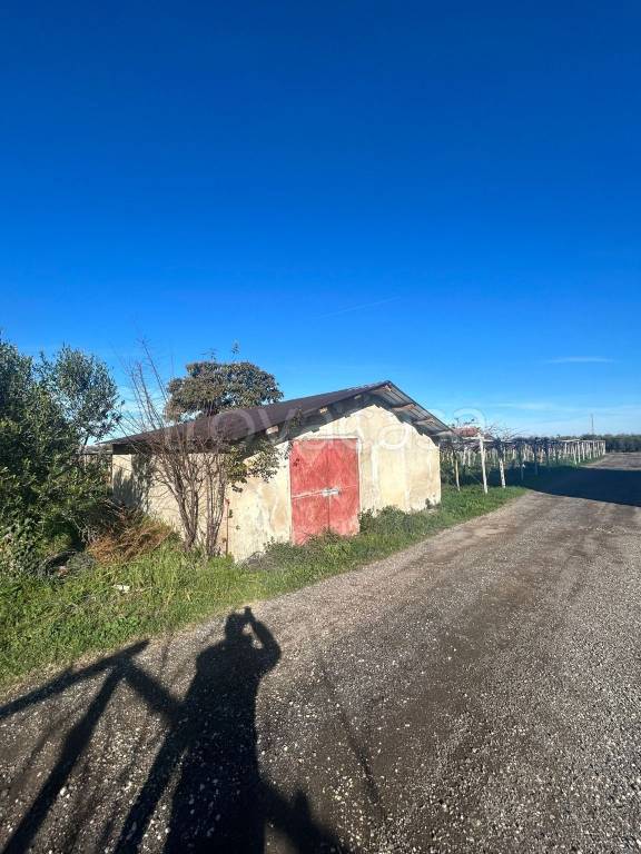 immagine annuncio 10 di 11