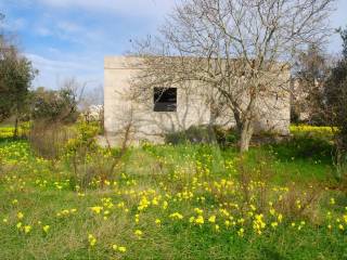 Terreno agricolo in vendita ad alessano strada vicinale monticarusi