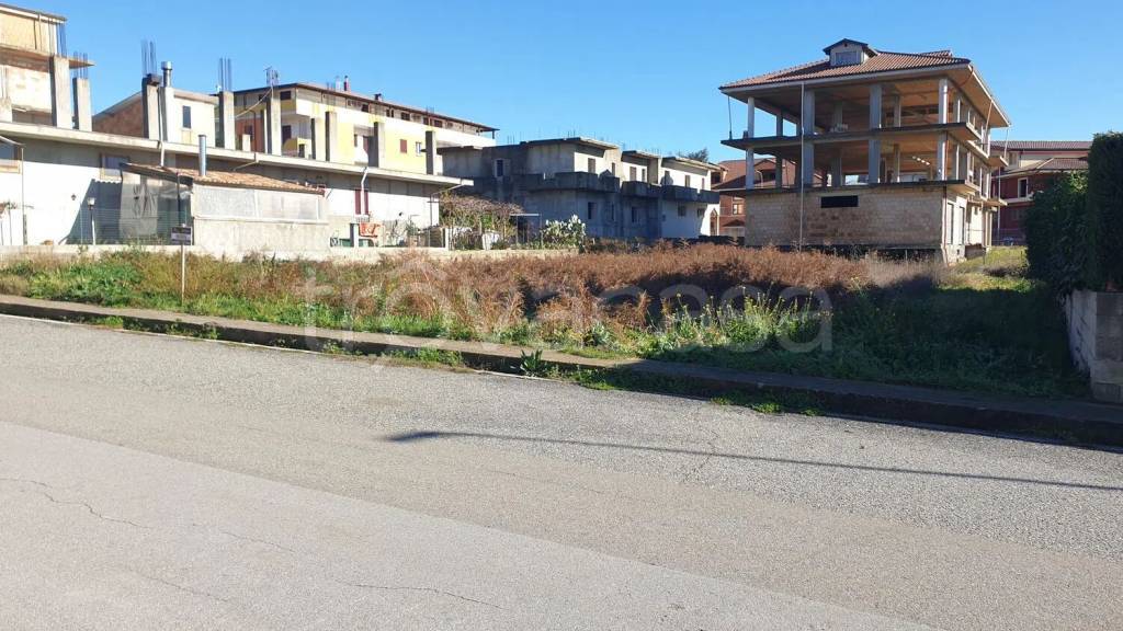immagine annuncio 3 di 8