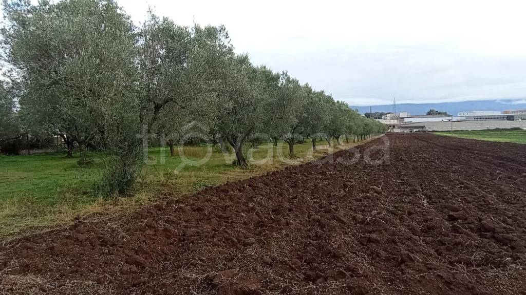 immagine annuncio 3 di 14
