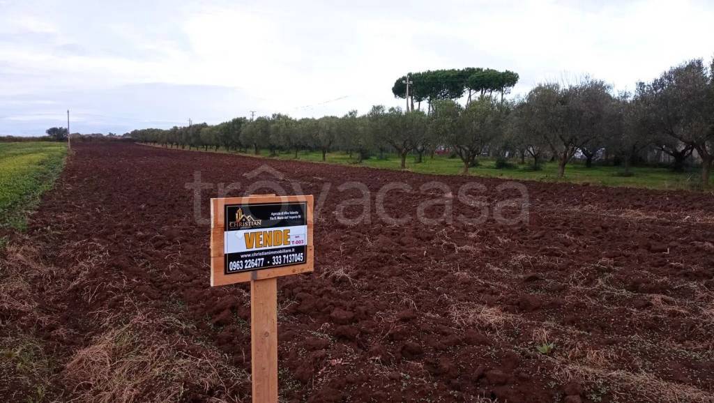 immagine annuncio 10 di 14